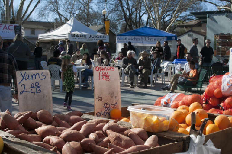 Vendors at Davis Farmers Market share information about food production with customers