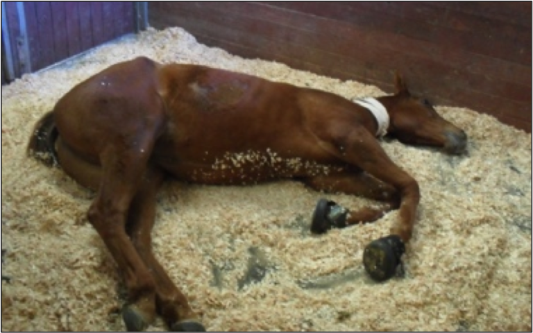 UC Davis researchers make discoveries in treating neuropathic pain