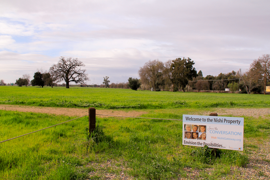 Open land that the Nishi Project will utilize to create more housing, specifically for students, in the Davis area. (MONICA CHAN / AGGIE)