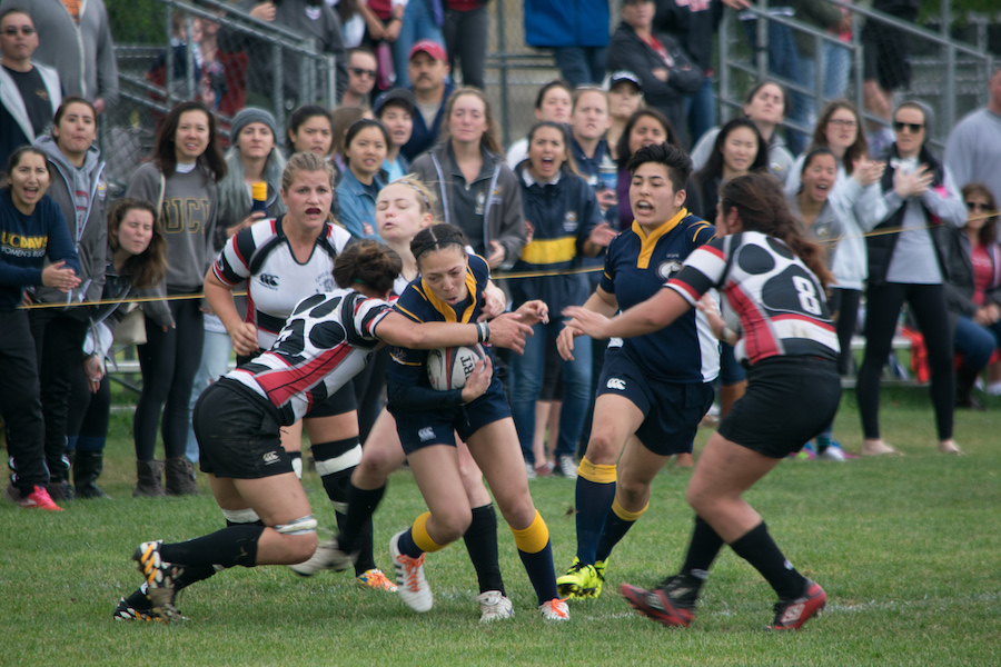 The UC Davis women's rugby club team dominated the Chico State Wildcats, 35-5, at Russell Field to advance to the Spring Championship final in May. (BRIAN LANDRY / AGGIE)