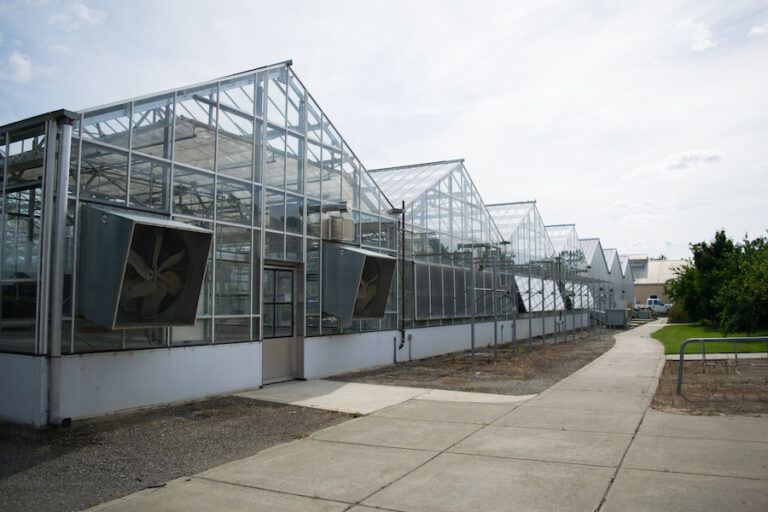 Undergraduate student team one of five finalists in Martian Agricultural and Plant Sciences project