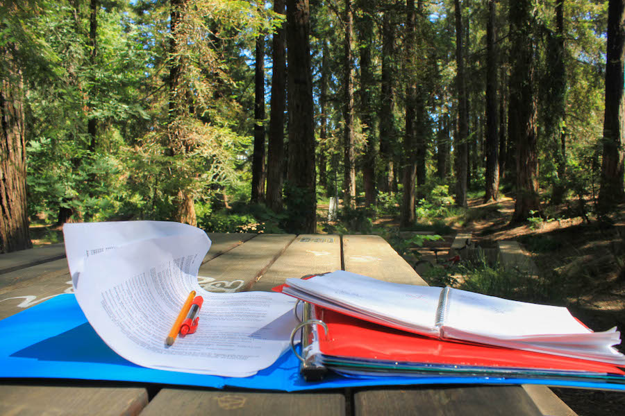 One of the most serene and quiet places to study on campus is under the redwood trees in the Arboretum. This is the perfect place to breathe in fresh air, watch some squirrels run by and get your work done. In all cheesiness, the spot is simply magical. (DANIEL TAK)