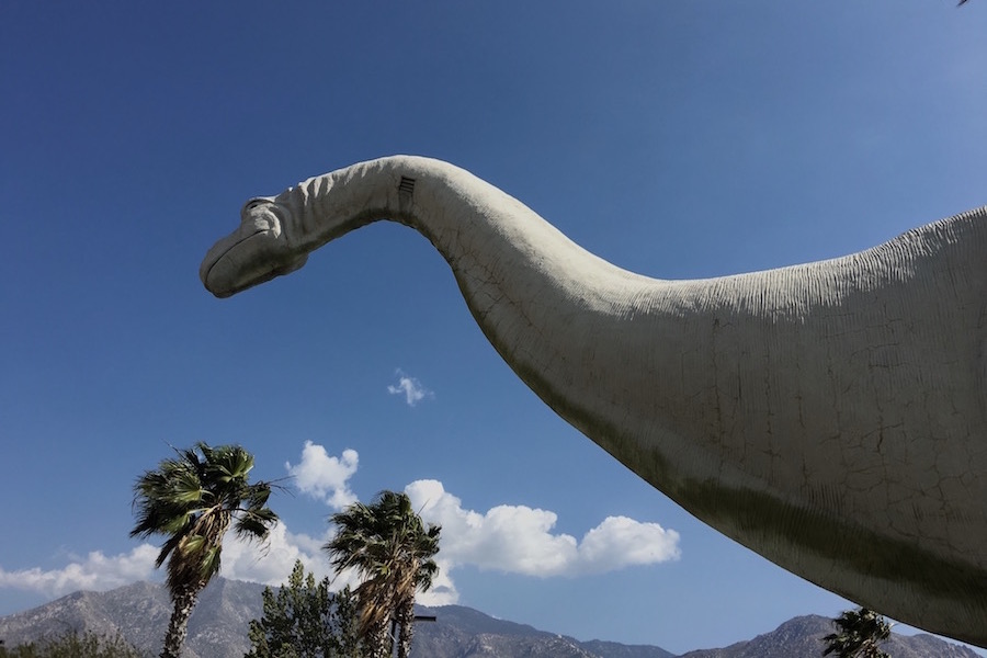 Looking up above Dinny the Dinosaur in the middle of the Cabazon desert. (ANGELICA DAYANDANTE)