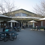 freeborn_op_misha_velasquez