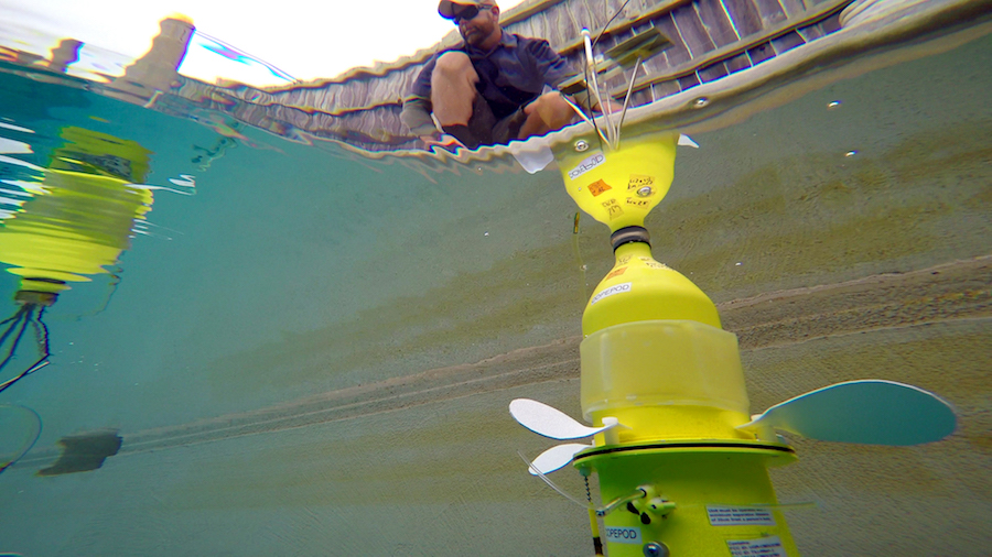 Marine technician Grant Sussner submerges a robot larvae into a diving pool at the UC Davis Bodega Marine Laboratory. (JOE PROUDMAN and KAT KERLIN / UC DAVIS)