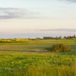 wetlands_fe_chelbert_dai