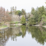 arboretum_ca_Sahar_Forouzanfar