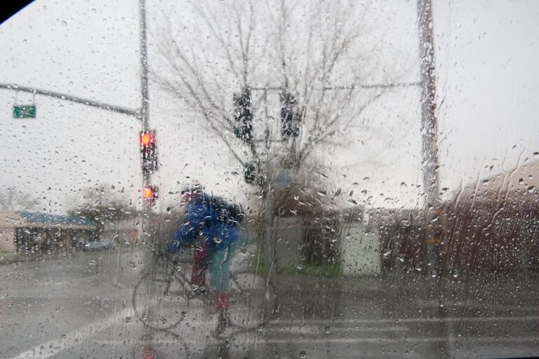 Environmentalists should renew message and appeal to states