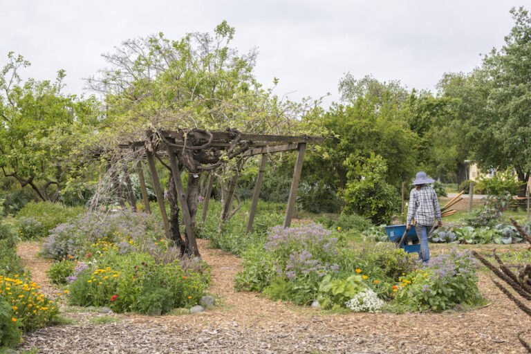 Agricultural advocacy as told by an urban farmgirl