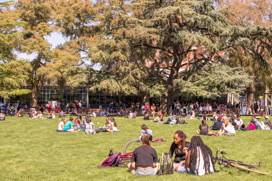 Best Place to People Watch: The Quad - The Aggie