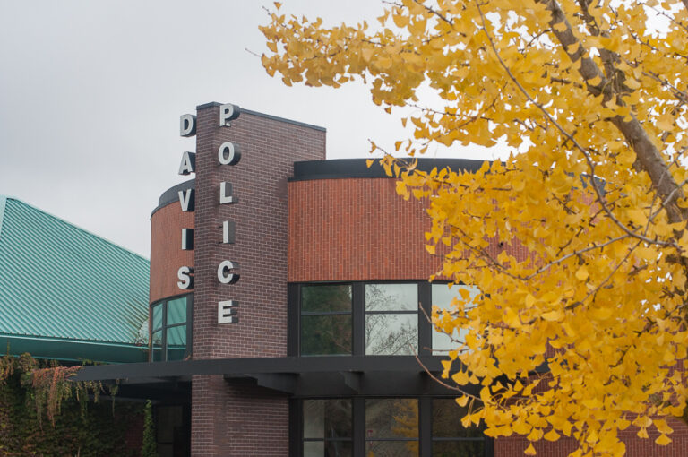 Downtown business owners discuss Picnic Day and reschedule Day in Downtown