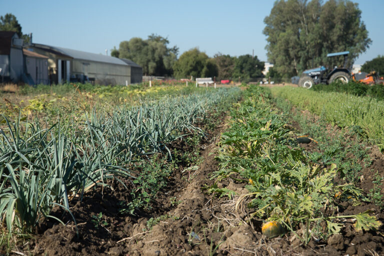 Revolution of Responsibility: Youth leadership and agricultural advocacy