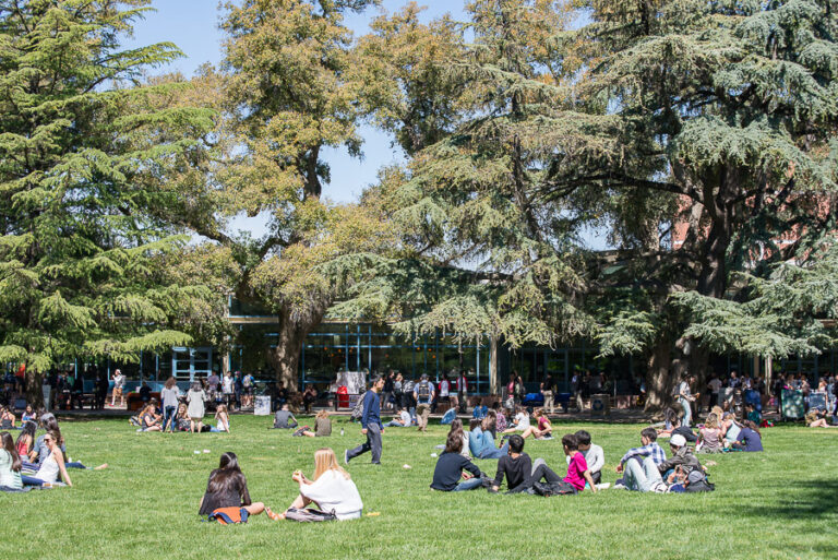 Guest: The two different worlds of transfer students and four-year students