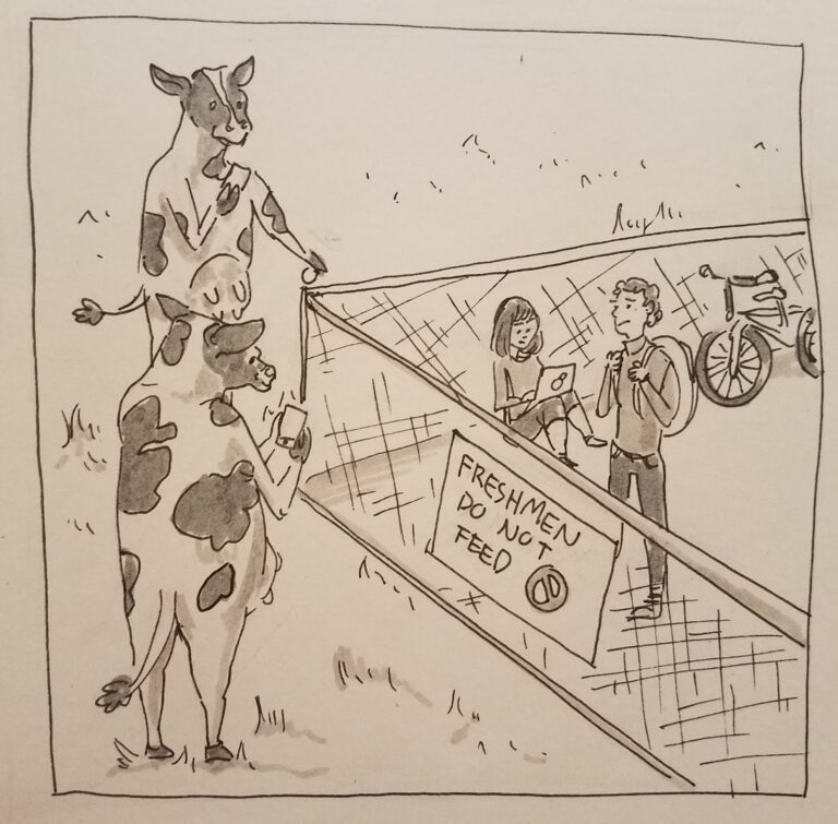 Freshmen: Do not feed