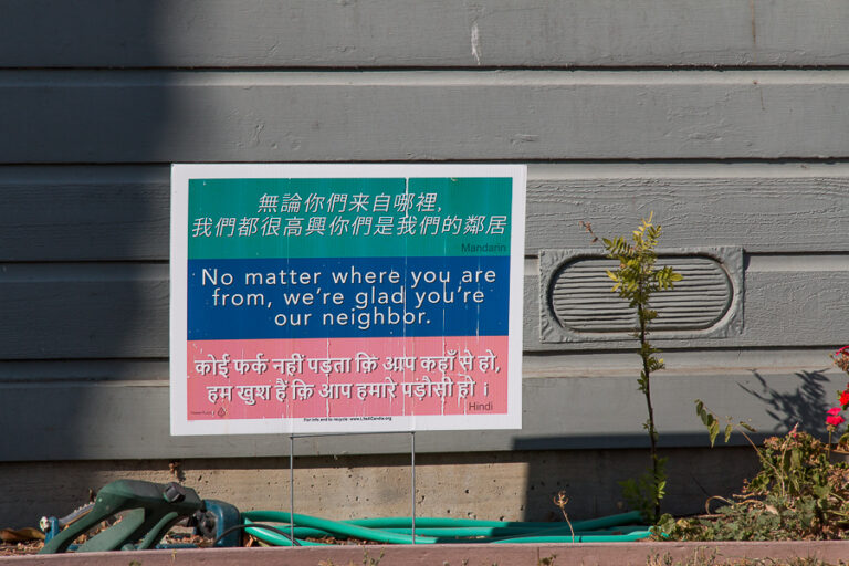 Perspective in Politics: A personal dilemma with hate speech