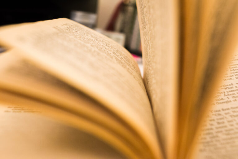 A Plug for Used Bookstores: How used bookstores offer a more intimate reading experience