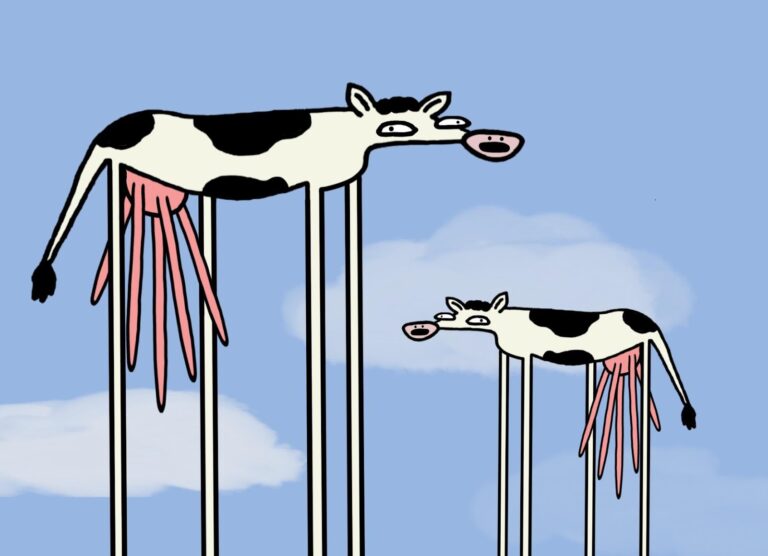 UC Davis first to breed Daddy Long Leg cows