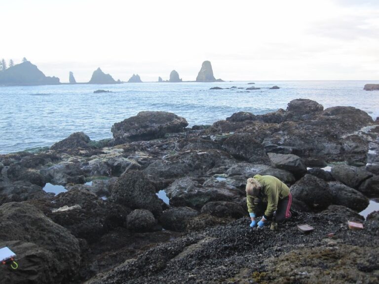 The City Nature Challenge comes to Sacramento