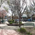 bestofdavis_or_Venoos_Moshayedi