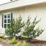 gamesarea_ar_Thomas_Ma