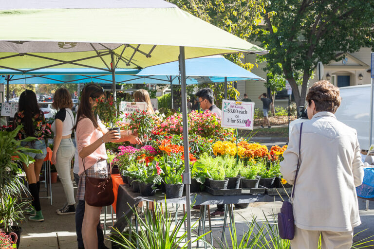Plant Sales raise money for Arboretum, Public Garden
