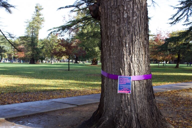 Ribbons on trees tie in issues around campus