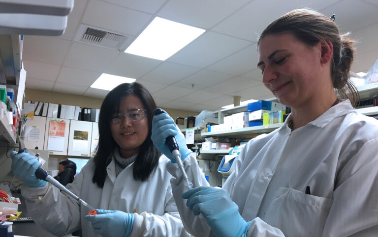 Cancer Treatment Works Better in Obese Patients