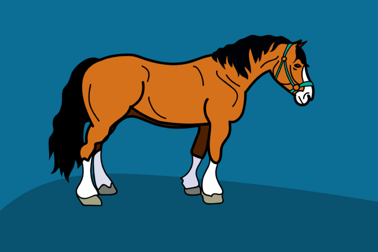 Draft Horse and Driving Club carts in members to learn about driving horses