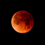 meaningful_ph_TIMOTHY_LI