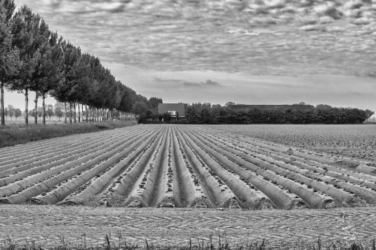 Soil may save our climate