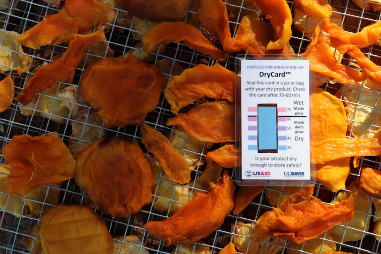 Make it dry, keep it dry