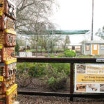 haagendazs_fe_ALEXA_FONTANILLA