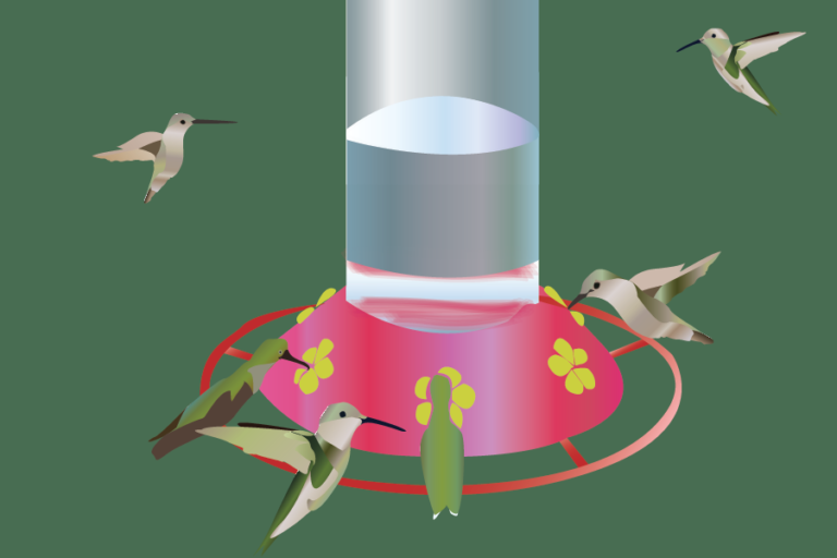 Hummingbirds of a feather feed together