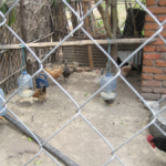 nutrition_sc_DAVID BUNN_COURTESY