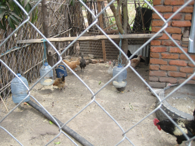 Nutrition education for farming families