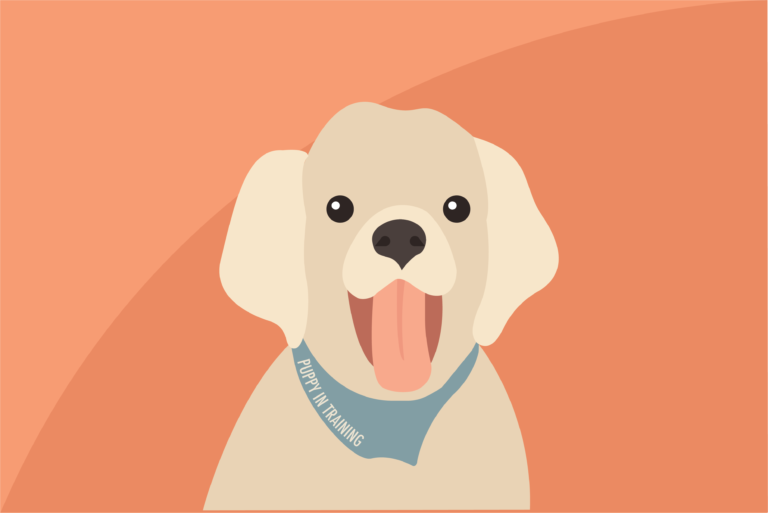 Puppy Pals extends a paw to service dogs and handlers on campus