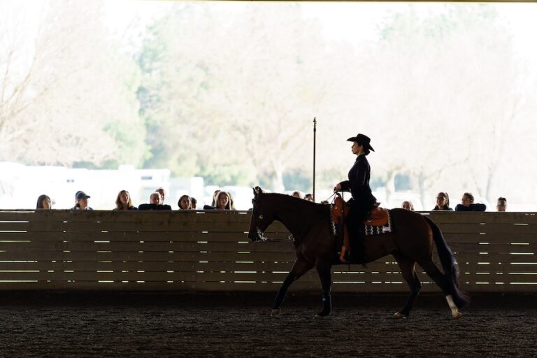 Equestrian wins first ever competition against No. 9 Delaware State