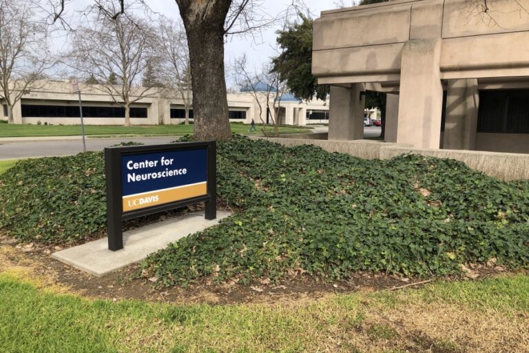 Center for Neuroscience cancels NeuroFest 2020 due to rising concerns of  coronavirus