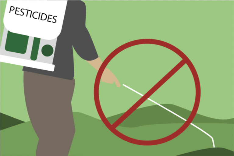 Nearly pesticide-free parks in 2018, Integrated Pest Management policy reduces pesticide use