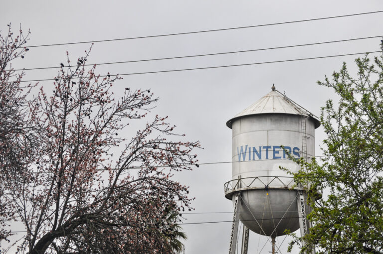 Say Goodbye to Winter Quarter and Hello to Winters, Calif.