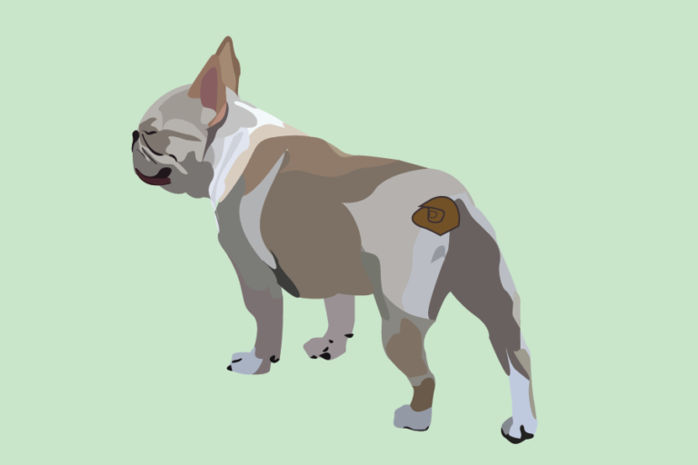 The Link Between Screwtails and Human Genetic Disease