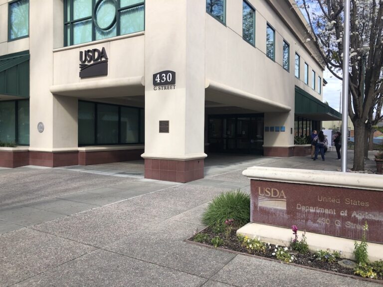 Cacao research comes to downtown Davis