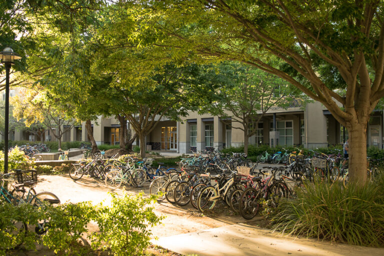 Freshmen choose to dropout of college before completing their first year