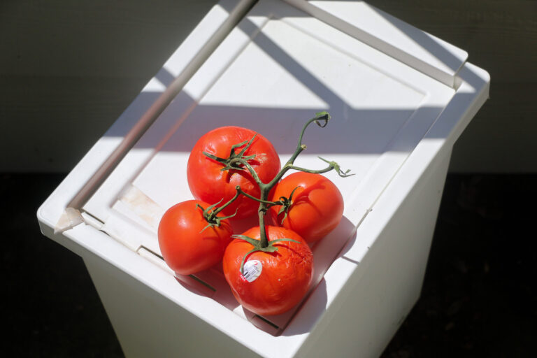 You hate GMOs and you’re so hip — and broke