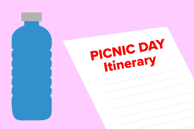 Measures to ensure safety on Picnic Day