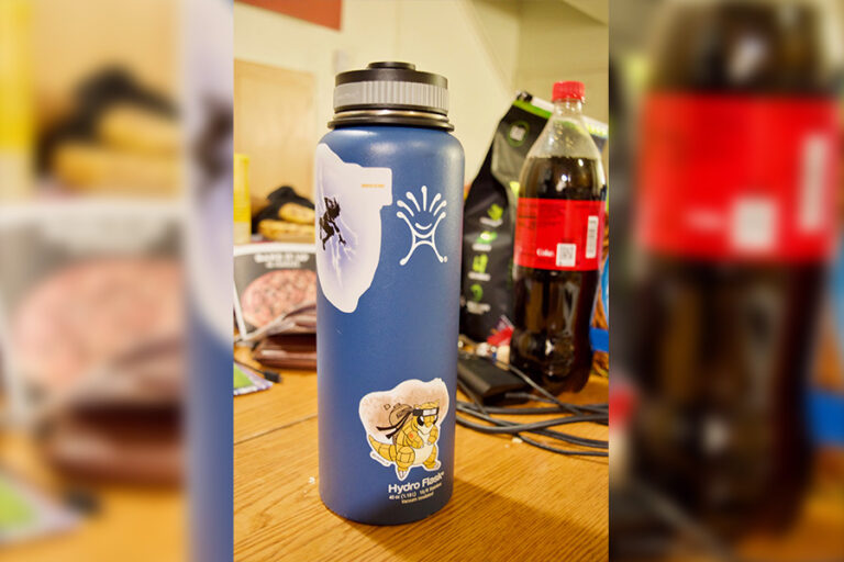 Best of Davis: Quintessential Davis Fashion Statement