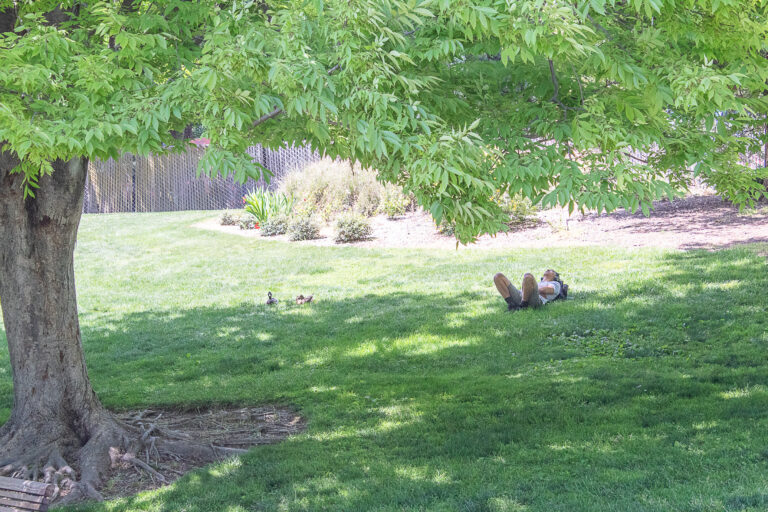 Best Nap Spot: Arboretum