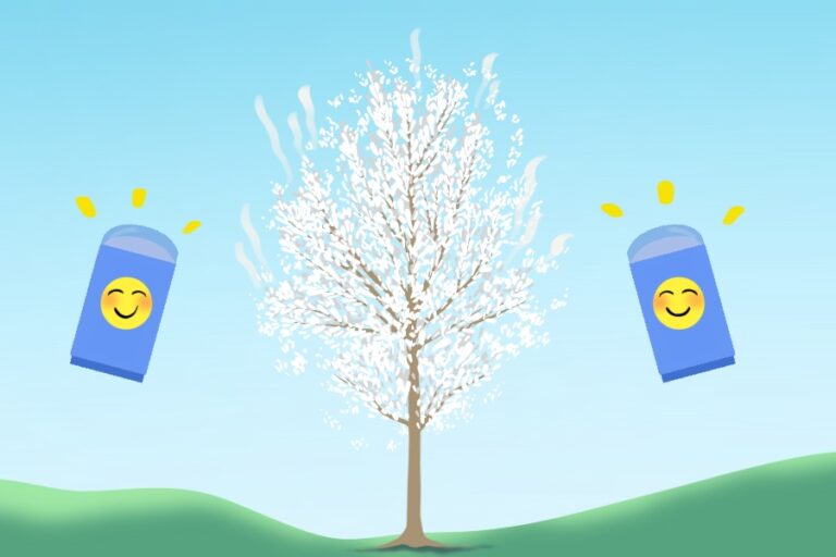 Humor: UC Davis plant scientists invent deodorant for smelly white trees