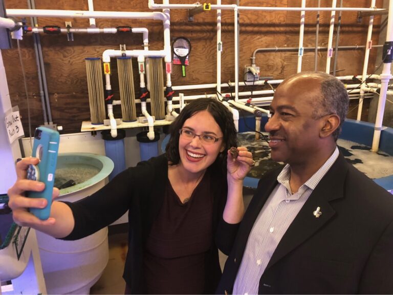 Saving white abalone