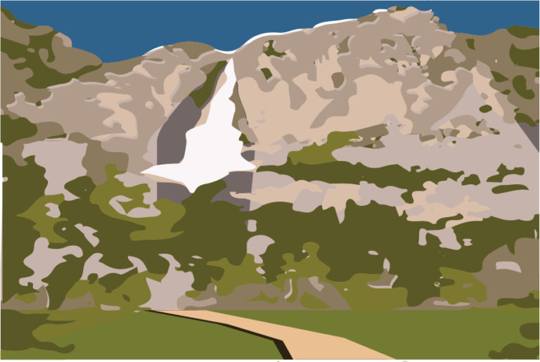 Accessibility and conservation